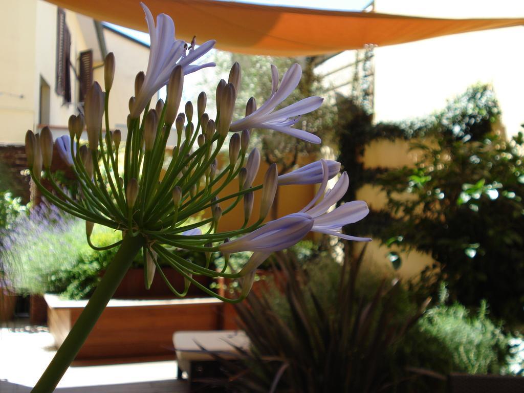 B&B Guerrazzi Pisa Buitenkant foto
