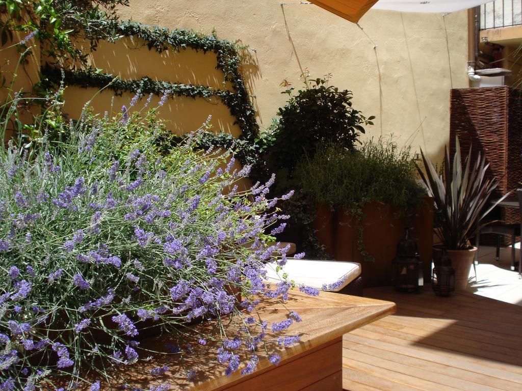 B&B Guerrazzi Pisa Buitenkant foto